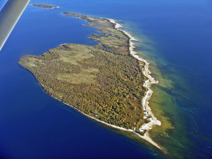 Bird Islands Pond Study